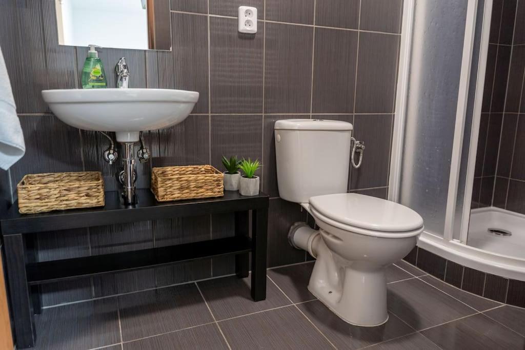 Byt Krenova 1+Kk Брно Экстерьер фото